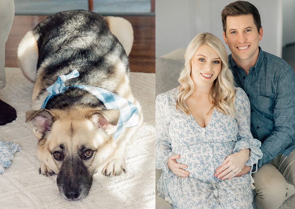 Images of a couple and their dog sitting on their couch during their session with Carmel maternity photographer, Brittney Lear Photography