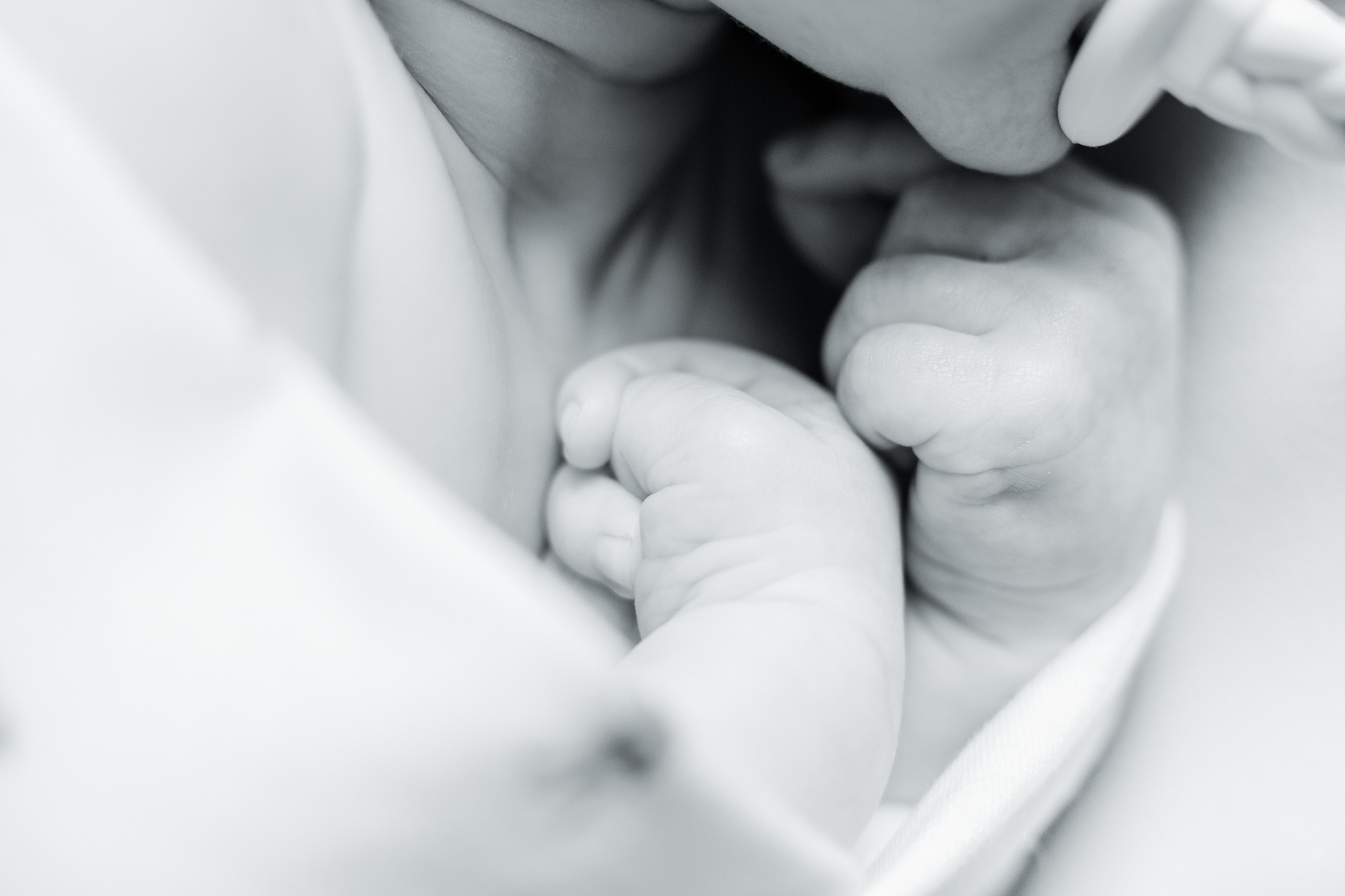 black and white image of a newborn baby's hands, lifestyle newborn photography