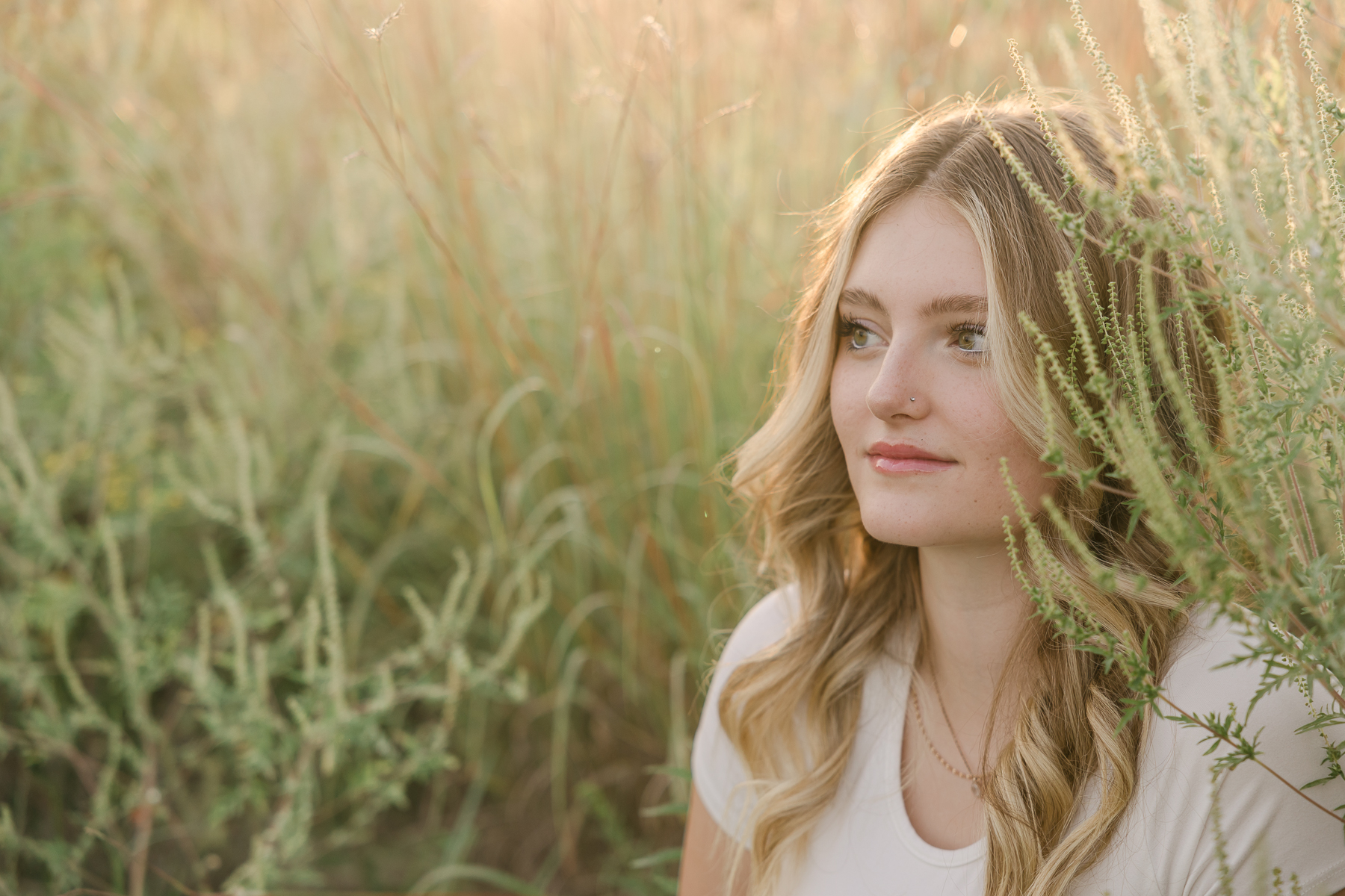 Girl sits in field of tall grass and looks forward in a white top, Indianapolis senior photographer